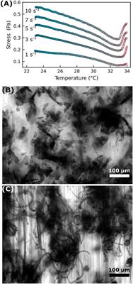 Shear-induced vorticity aligned flocs in a temperature responsive colloid-polymer mixture